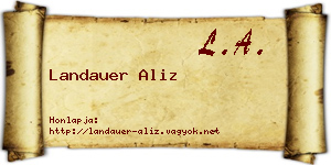 Landauer Aliz névjegykártya